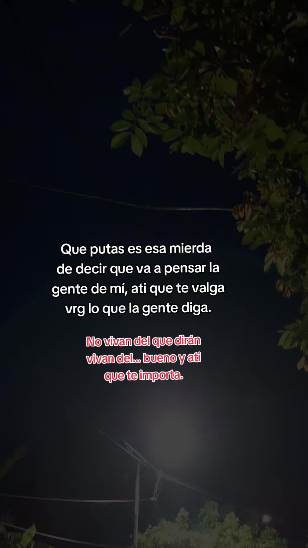 @🌸LUCHI🌸