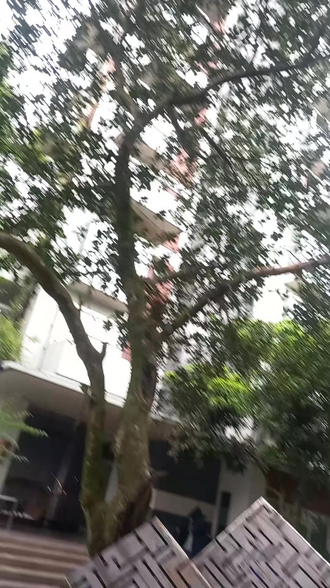 @đ§đŠRezaul Rajuđ§đŠ