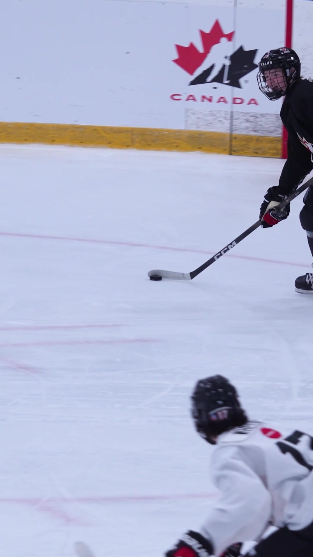 @Ontario Hockey League