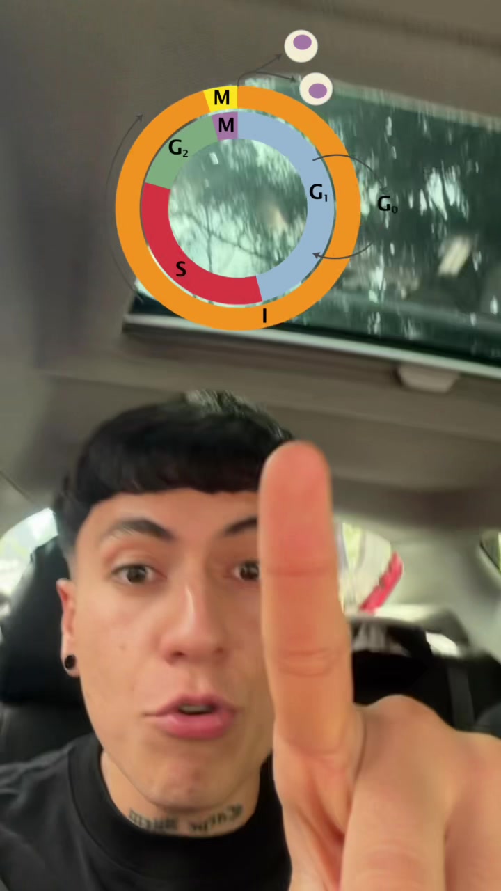 @ENDOBOY