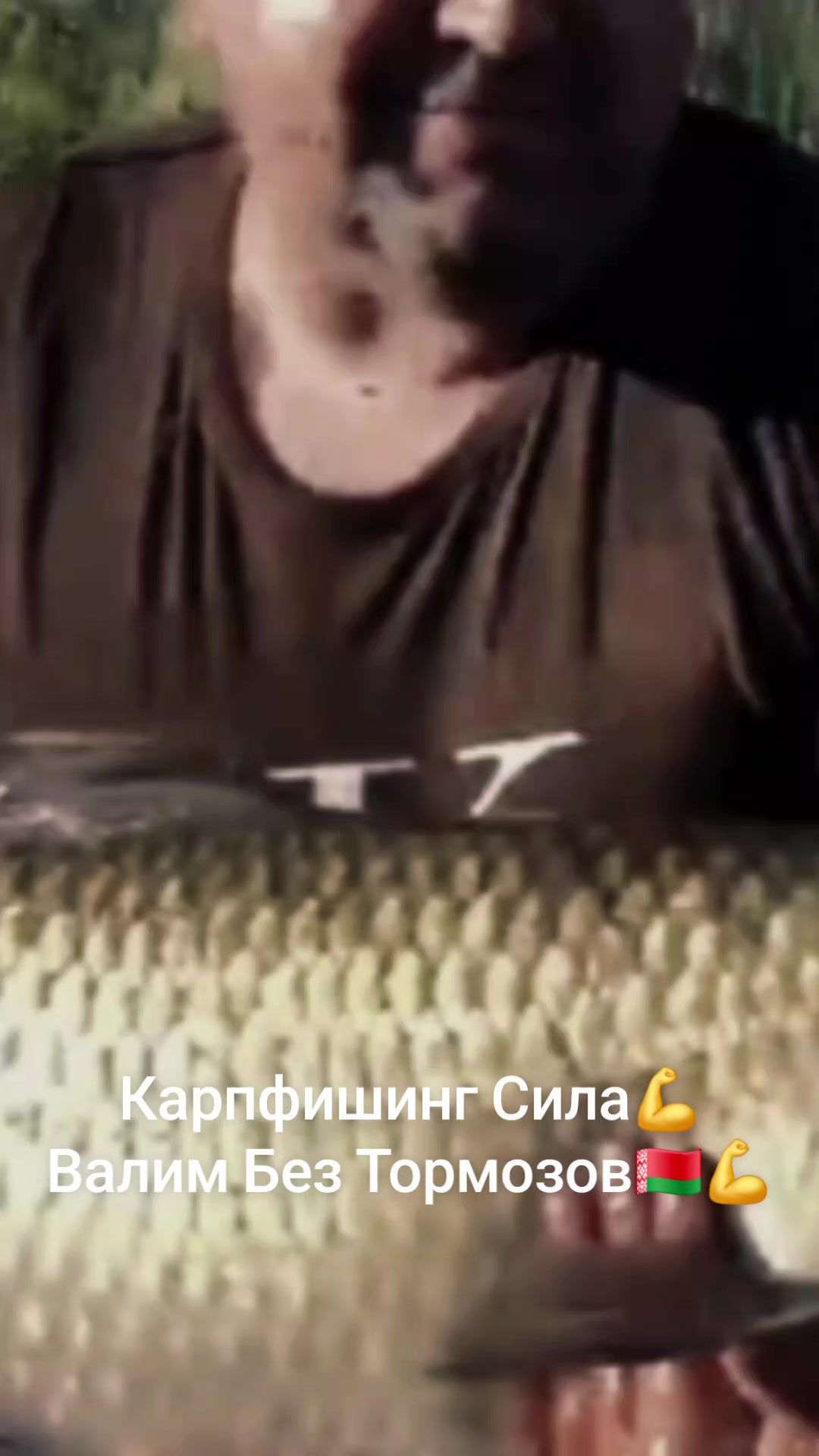 @Дикий карп рулит💪😎💪