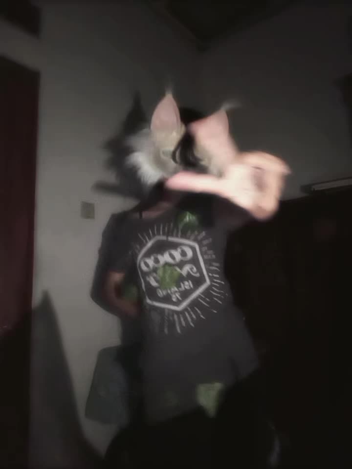 @🐾★~ ☾ 𝐿𝑜𝑛𝑛𝑎 ☽~★🐾