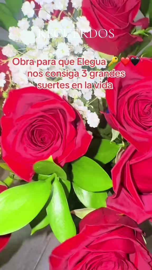 @Juan Robert Obba Oriate