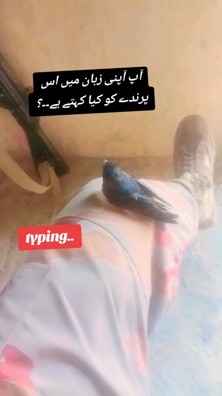 @💪 MILITARY 🪖 Funny 🤣 BOY🌹
