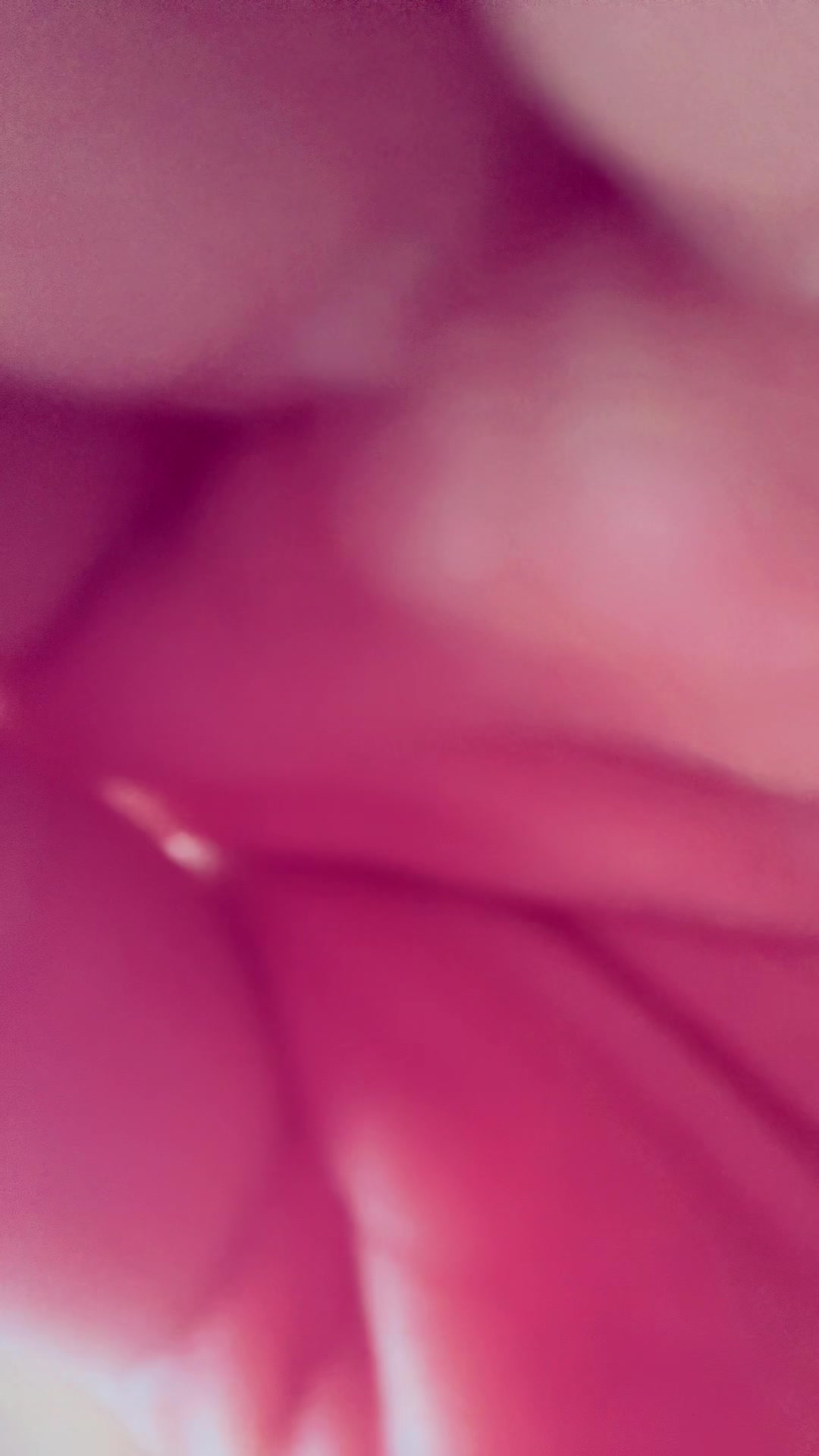 @jsely61