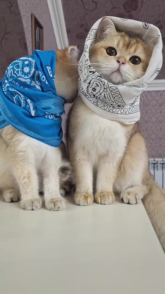 @Zoo_JASMİN🦂🥰