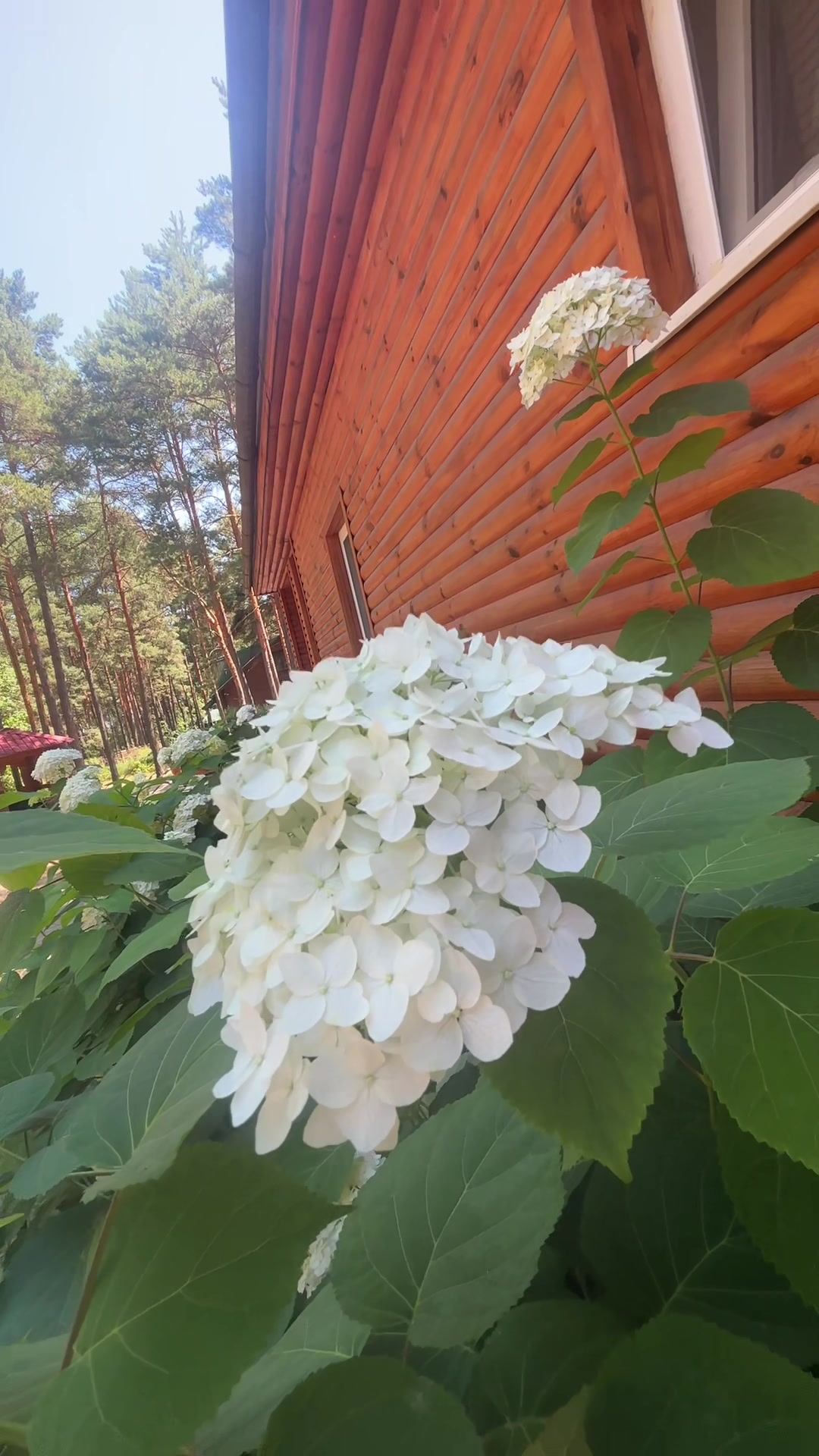 @Таня