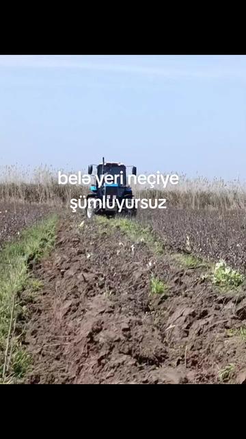 @@❉্᭄͜͡👑 NEFTÇALA 👑❉্᭄͜͡