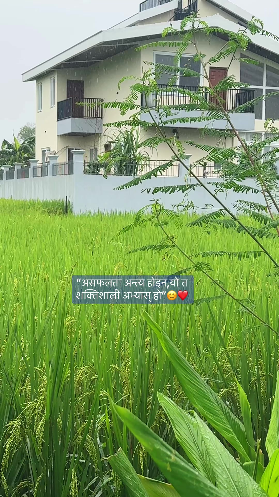 @Ritu Thapa