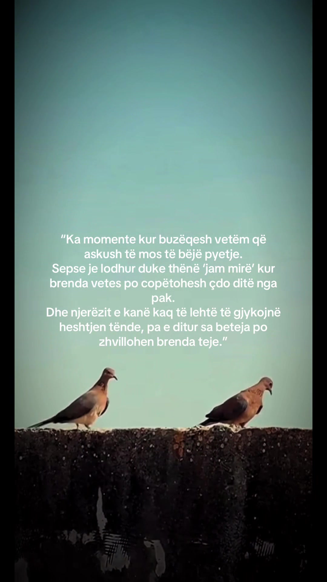 @LostInMemories 🖤