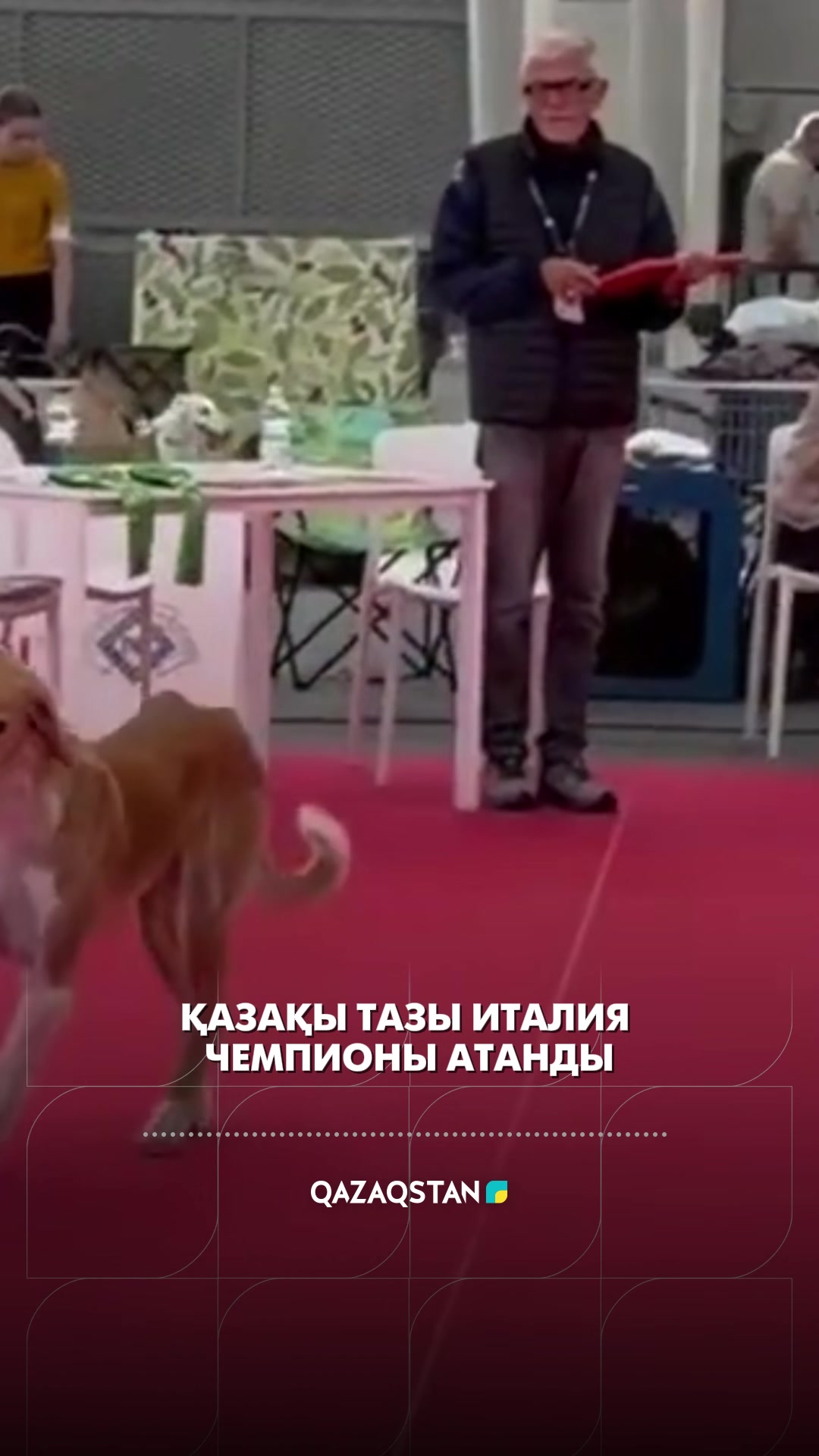 @«Qazaqstan» телеарнасы