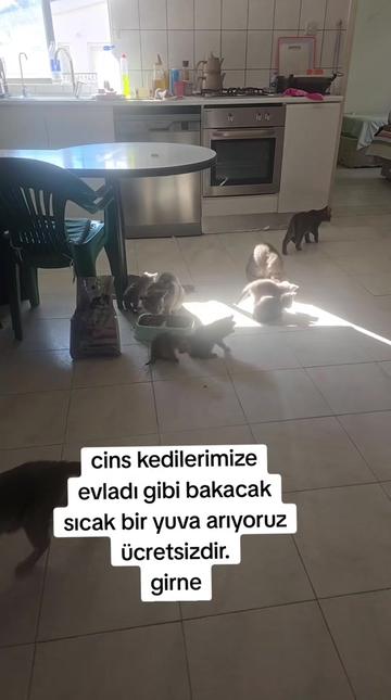 @YOZGATLI SARI GIZ🇹🇷🤘💡