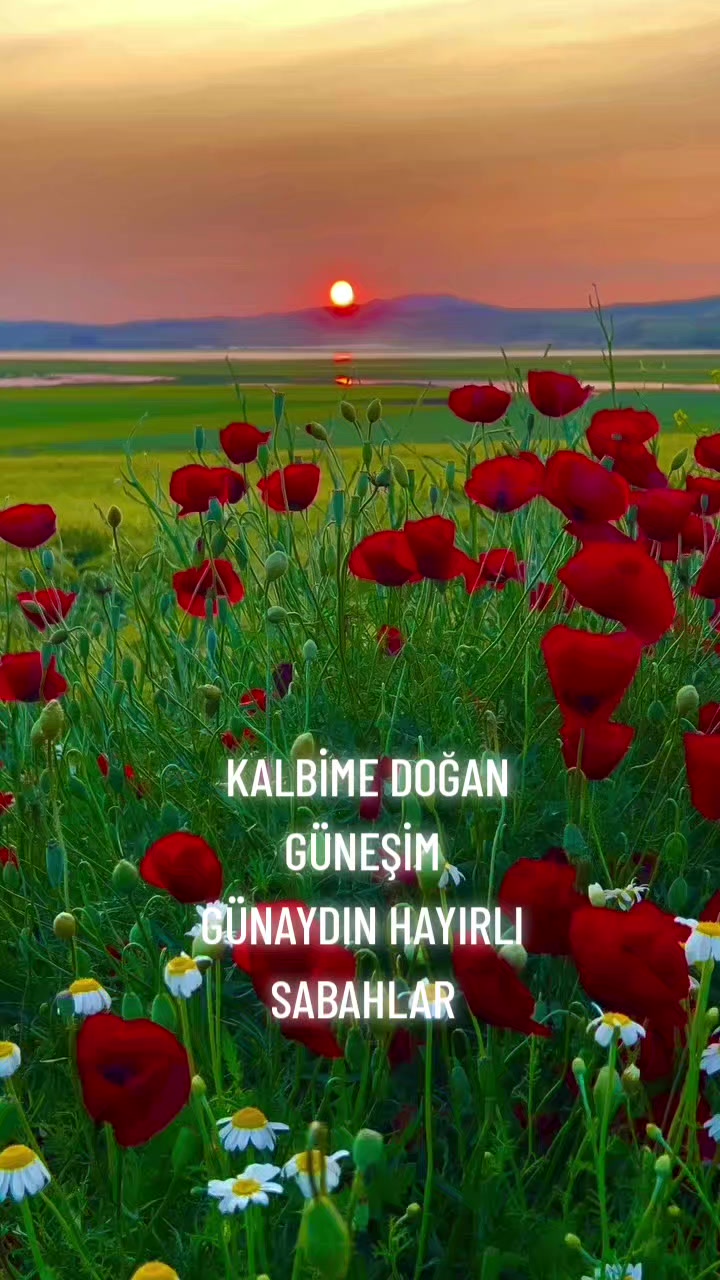 @Hasan Yılmaz