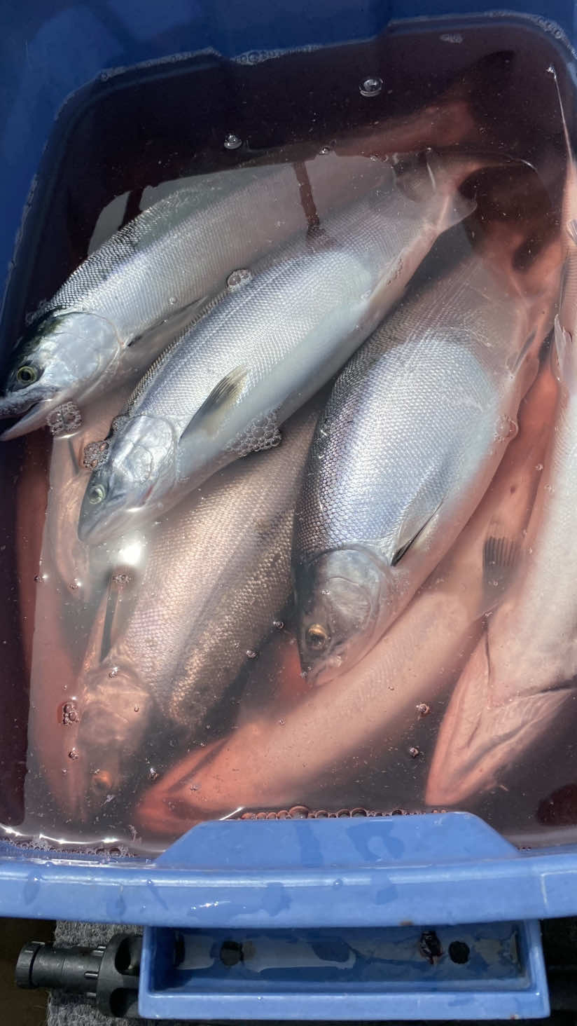 @Fishing with Rod
