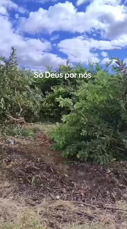 @Cícero Maicon Lopes