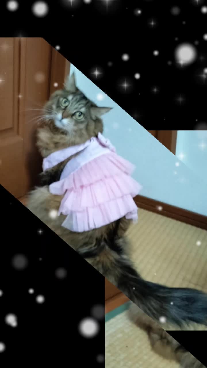 @user42931682735834