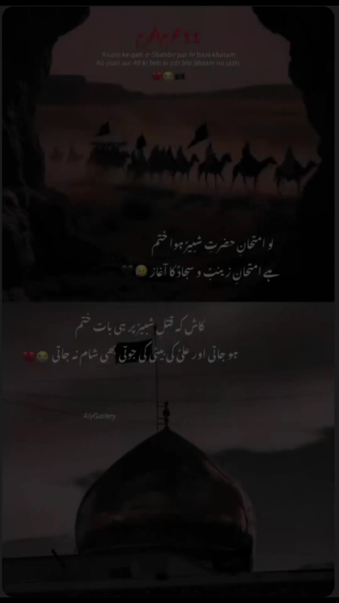 @☠️👑MASTANA MALIK🇵🇰🇲🇾