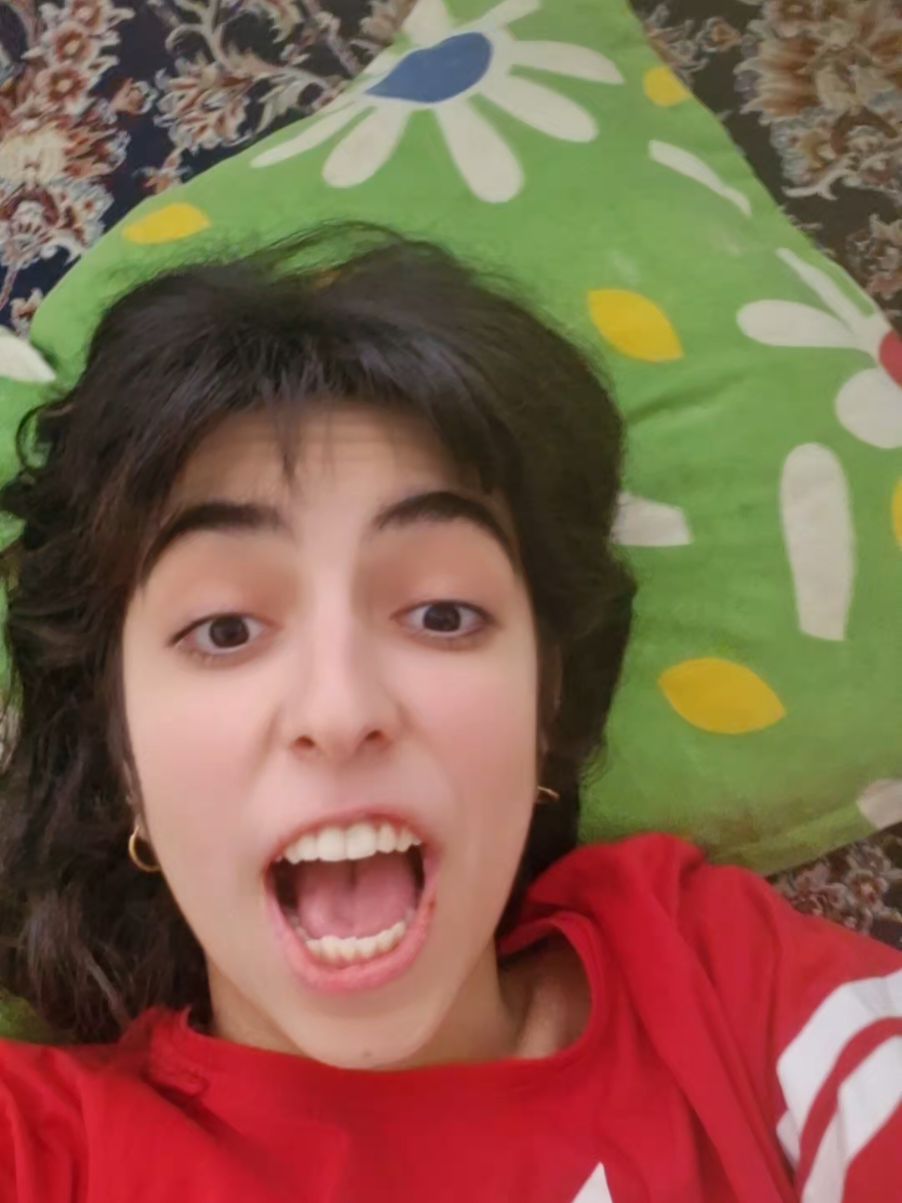 @sadaf karami