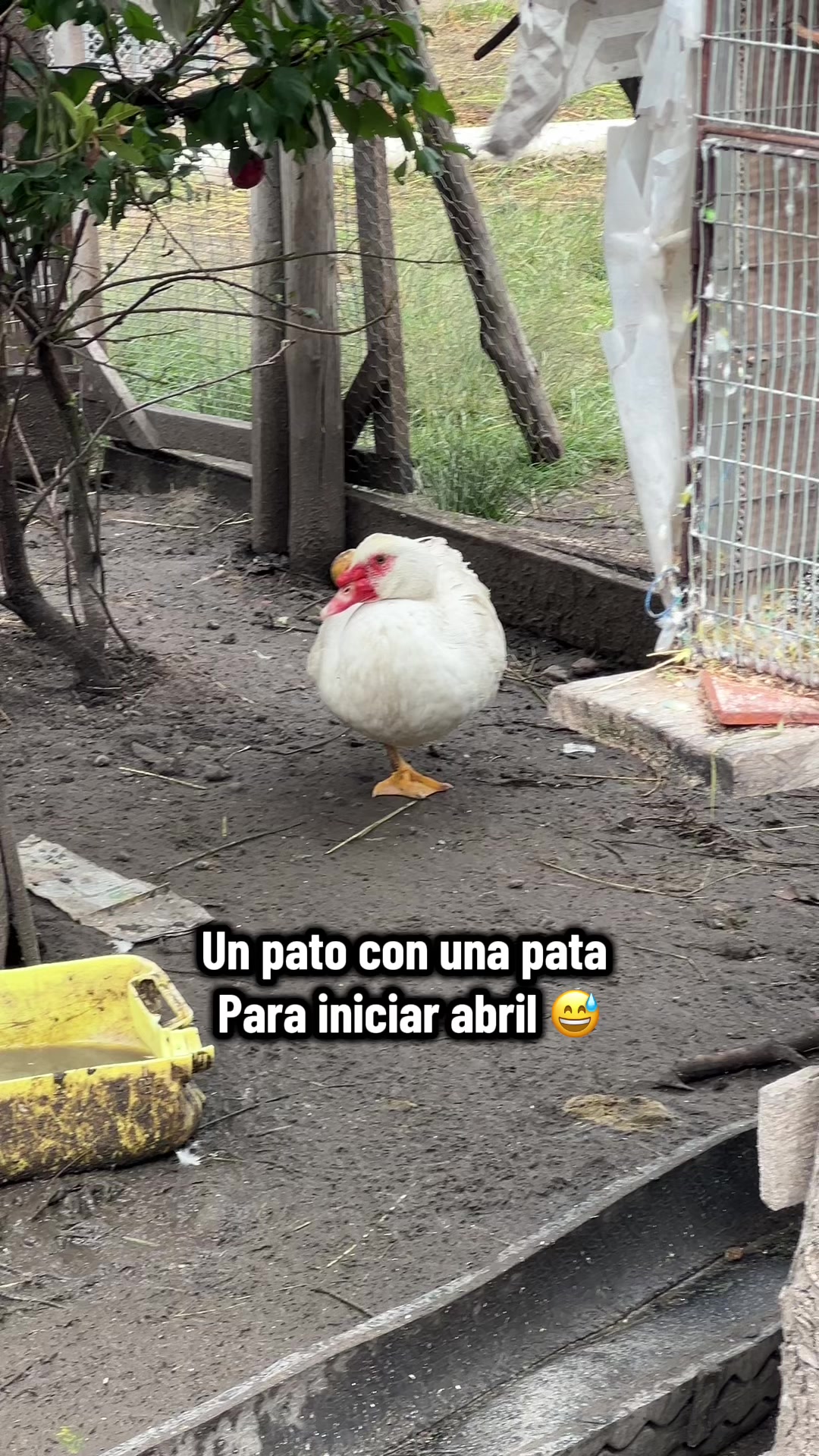 @Sam