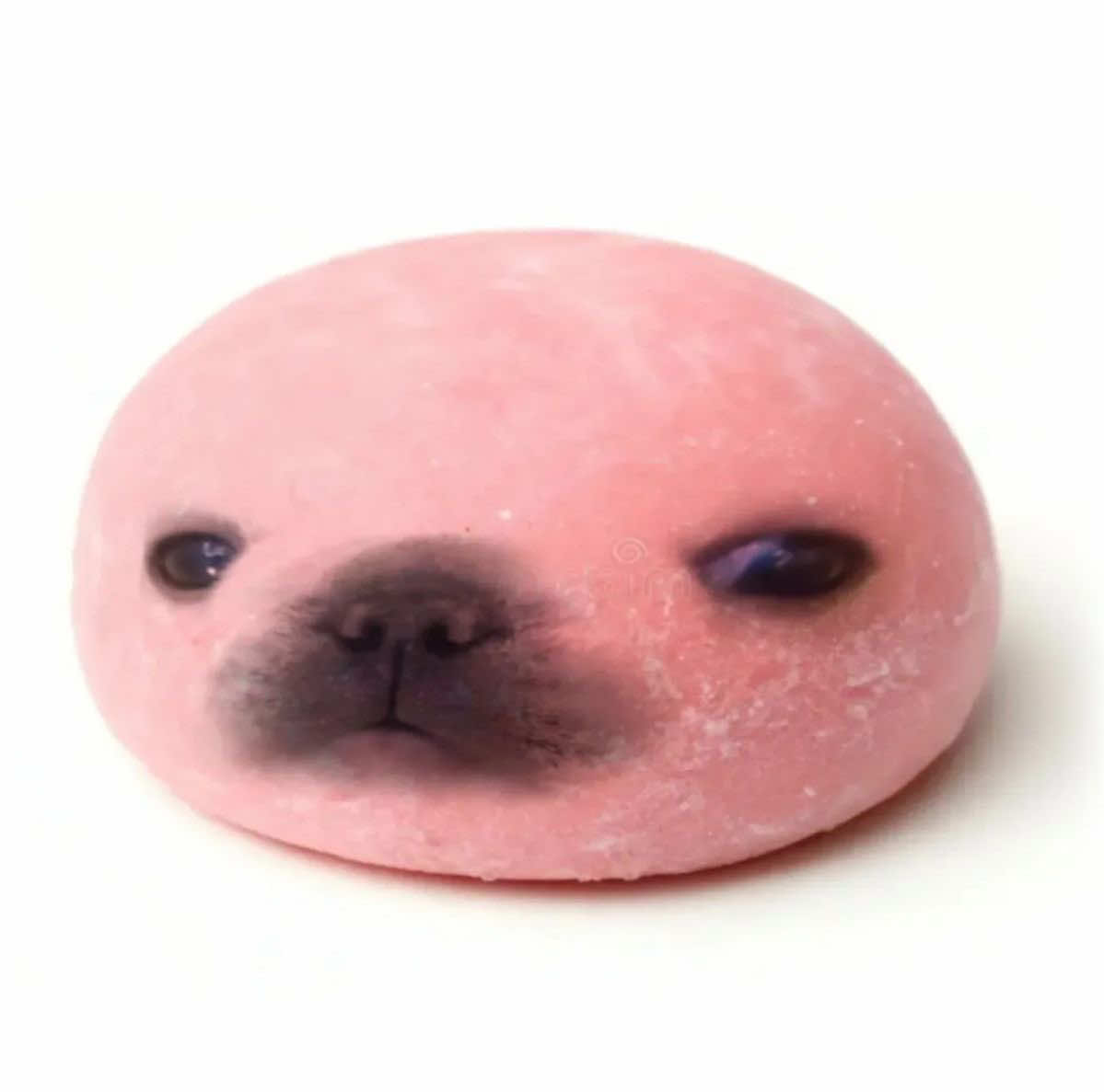 @Perroflanteamo