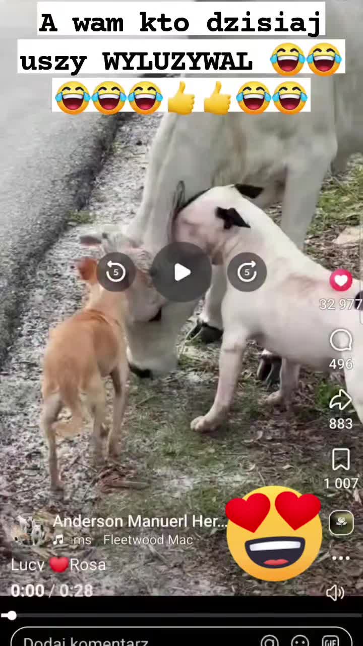 @MiłośćŚwiadomośćPrawda