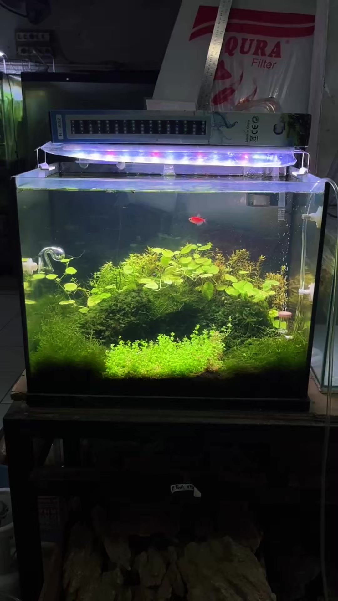 @Rawalumbu Aquatic Design
