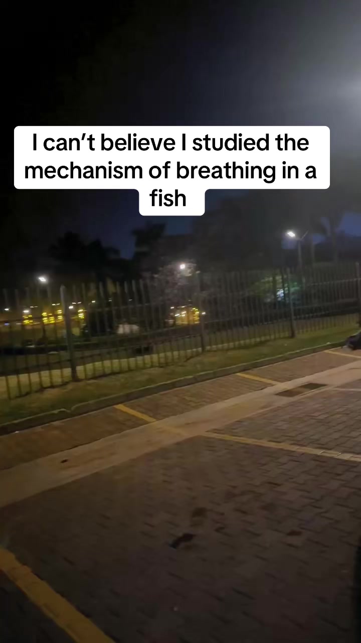 @theryan256