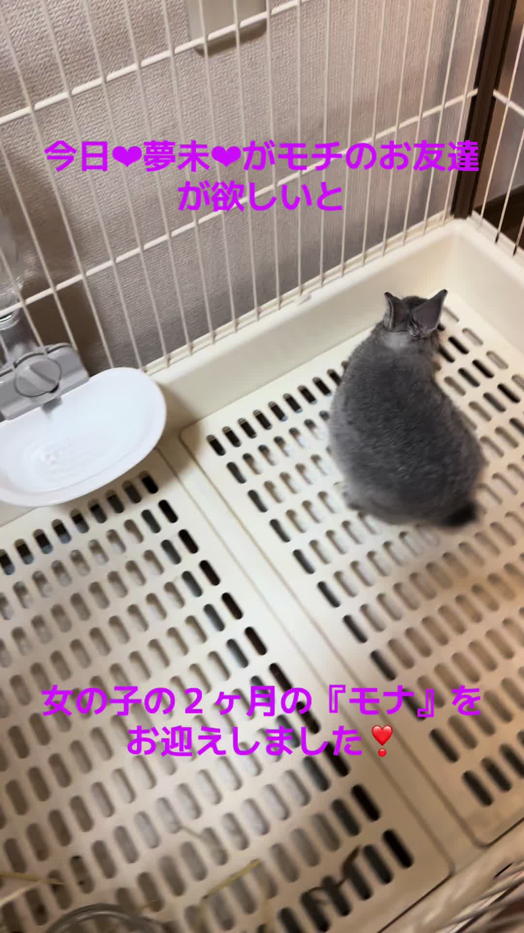 @ð«¶ããã°ã»ãã ð