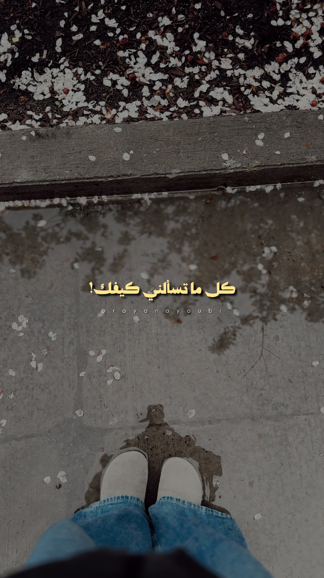 @Rayan El Ayoubi