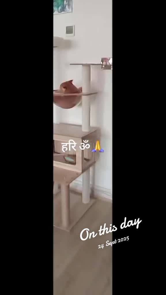 @Gayatri Rai💎