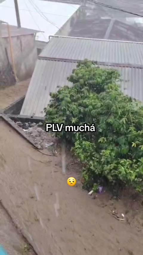 @)โ๐ฌ๐ณ ๐
ฃ๐
๐
ง๐
๐
๐
๐คโ(โตโฐ²๐ฌ๐น