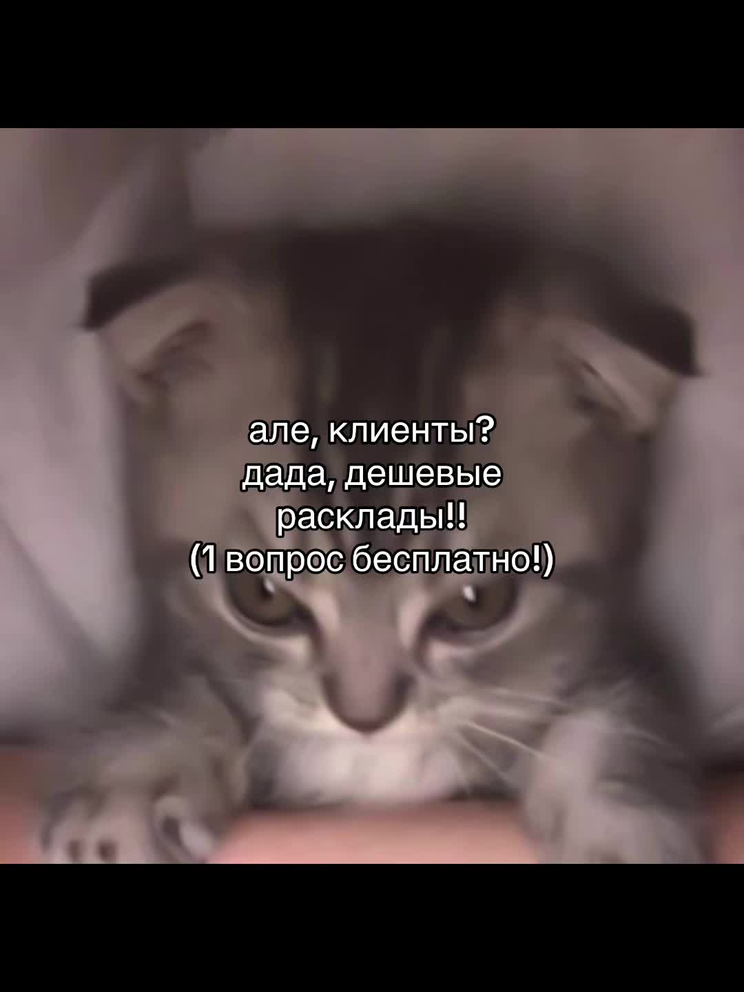 @Анна Таролог🤍