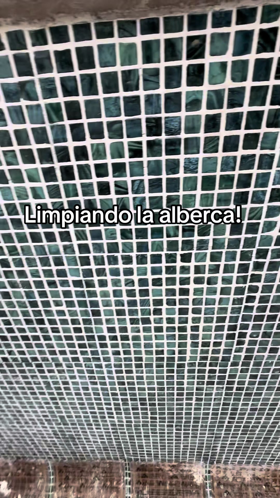 @ame.angulo1