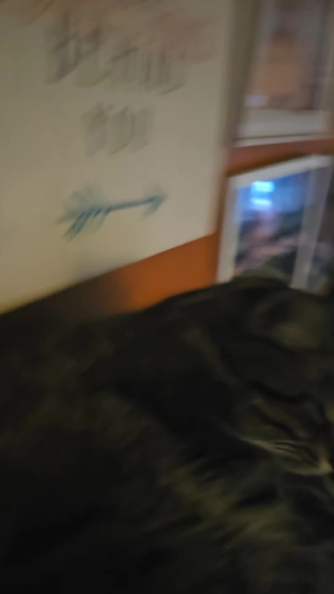 @Catgaga