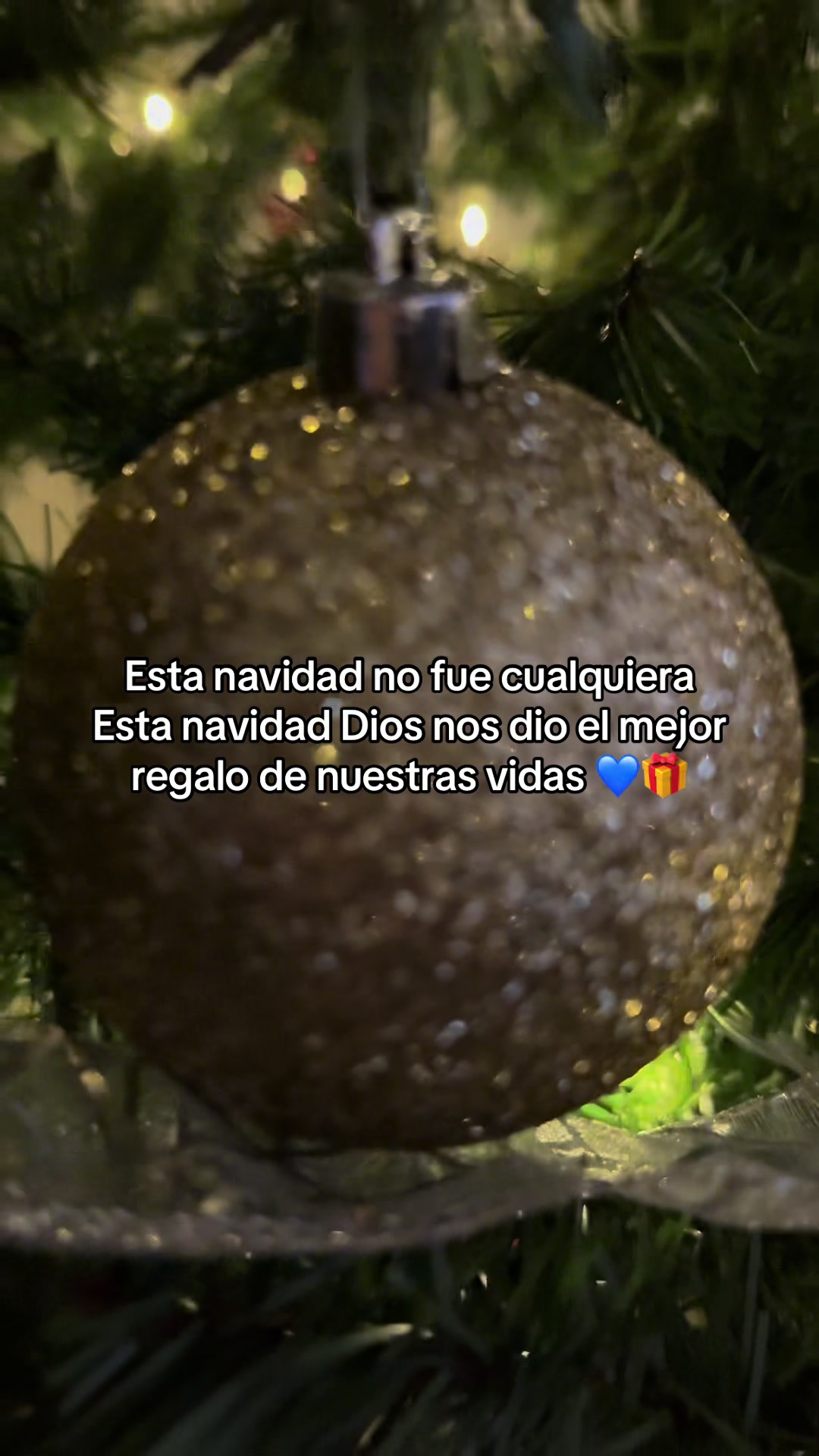@Rebeca Rodrigues ✨🧡