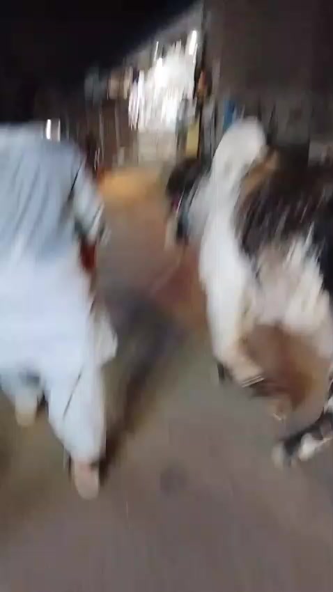 @ѕує&part;_ѕн&alpha;&fnof;&alpha;у_756