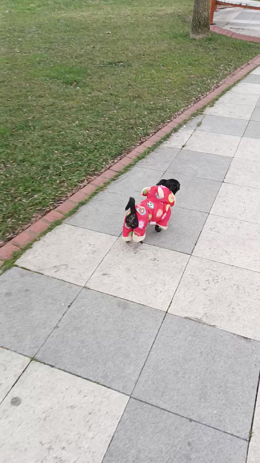 @Polat karadayı