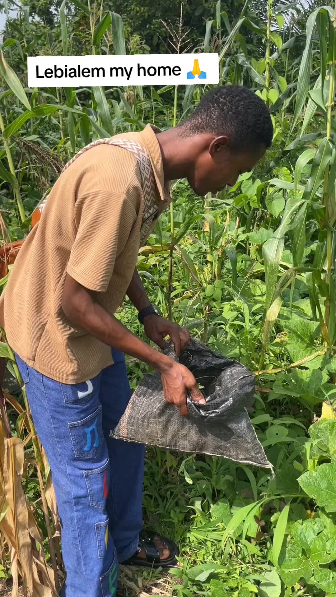 @Royal Boy 237
