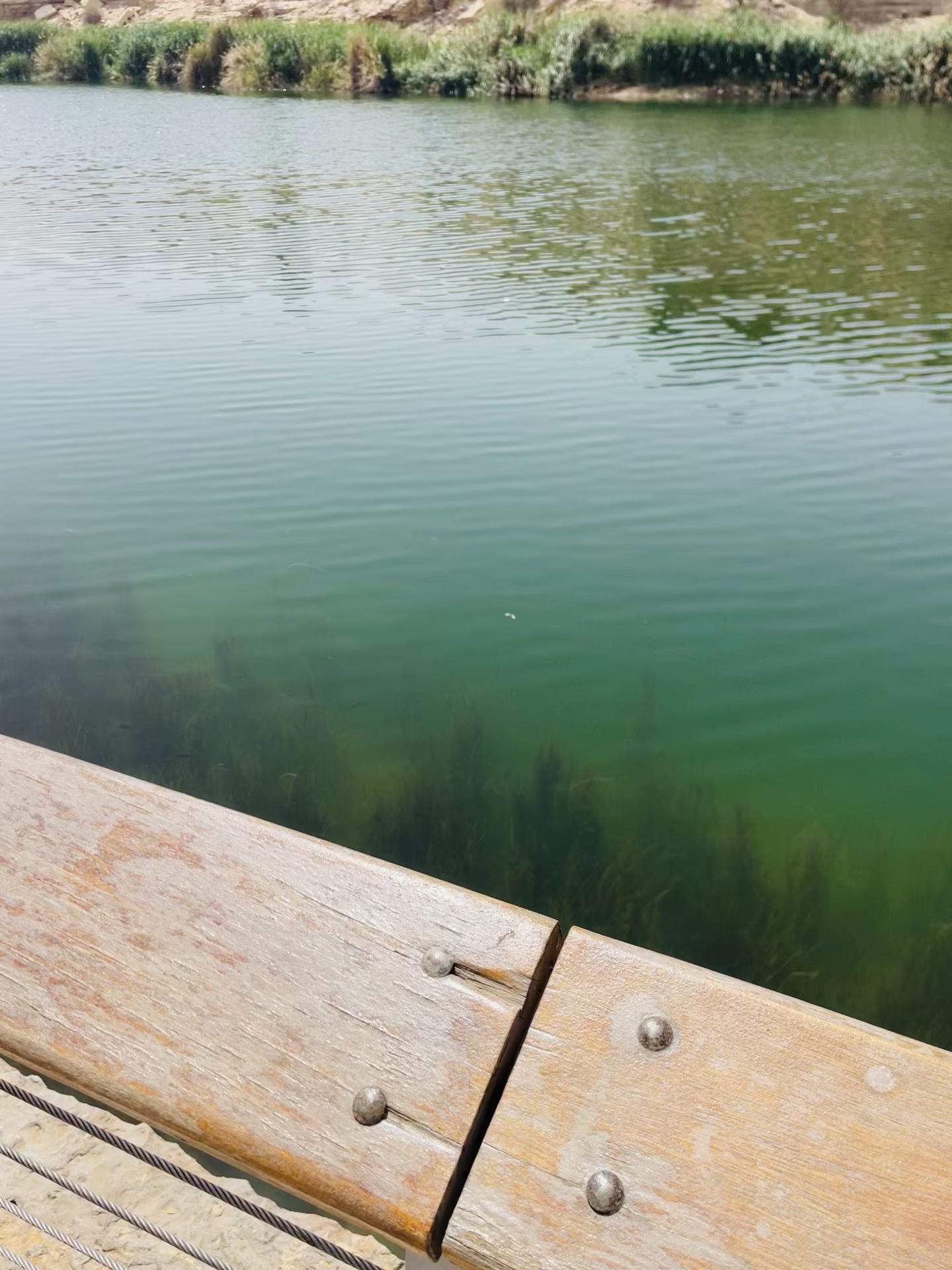 @ 𝑀𝒟𝒥𝒰𝒲𝐸𝐿 