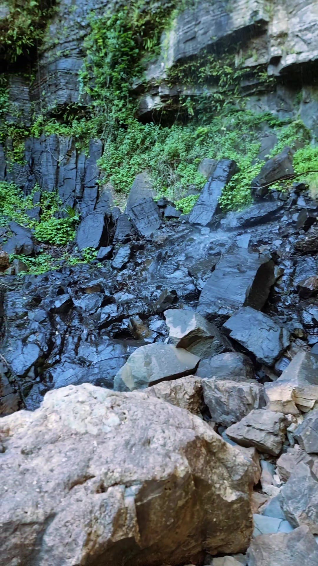 @Aces hike tok