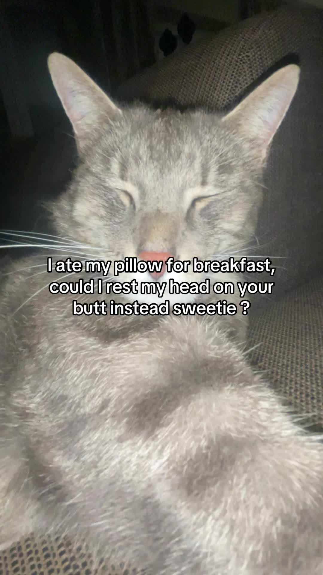 @Micky