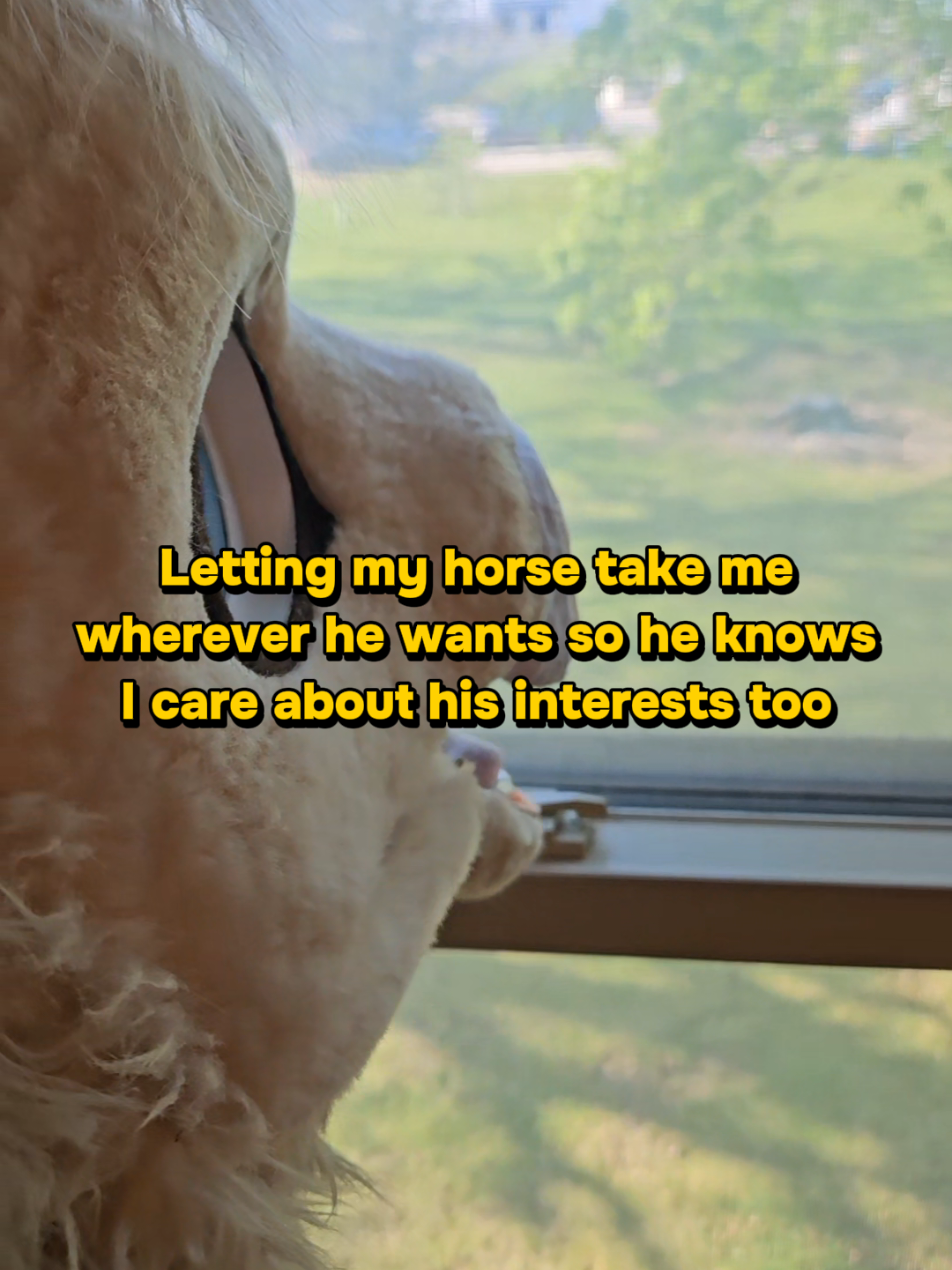 @Clyde the War Horse
