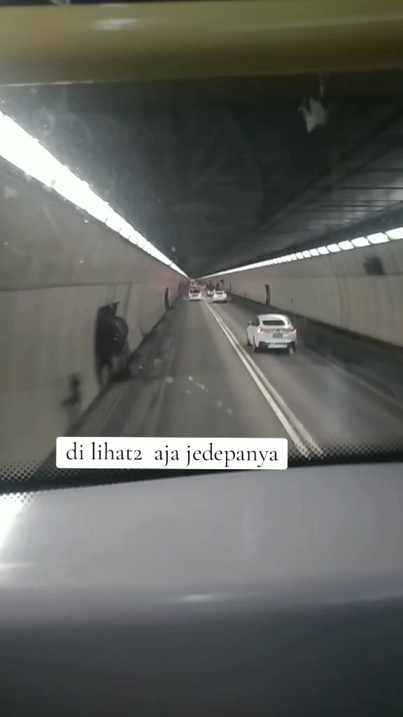 @Bintang gejora