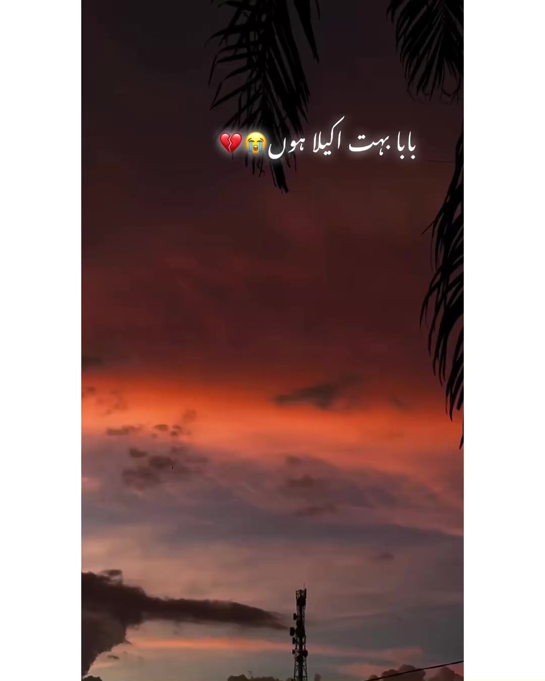 @⚜️𝐊𝐇𝐎𝐊𝐇𝐀𝐑❤️🩹