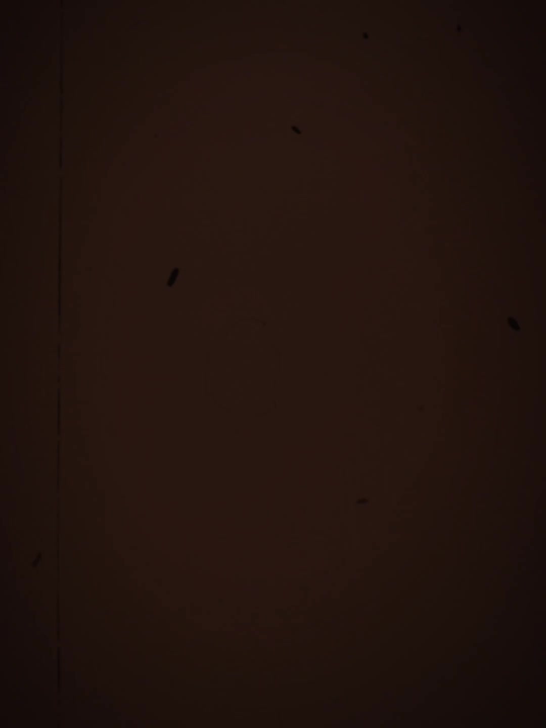 @OFFLlNE ๐ฅน