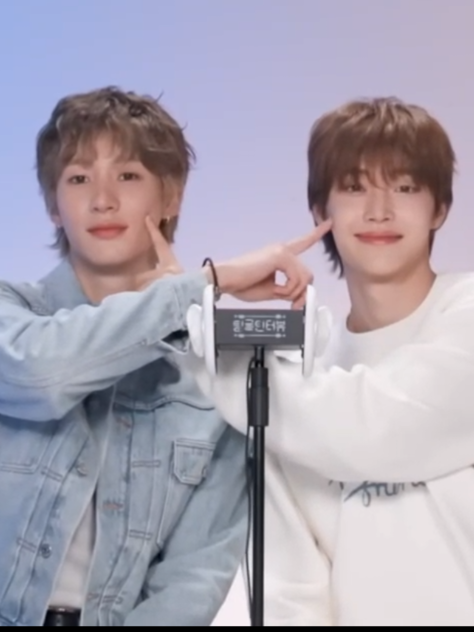 @tonbae🐶🐰