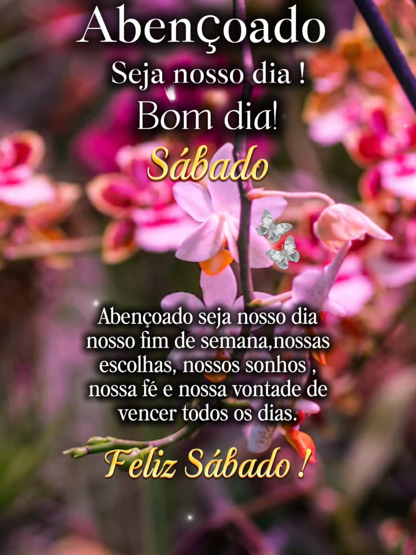 @𝘚𝘰𝘤𝘰𝘳𝘳𝘰🌺🇧🇷
