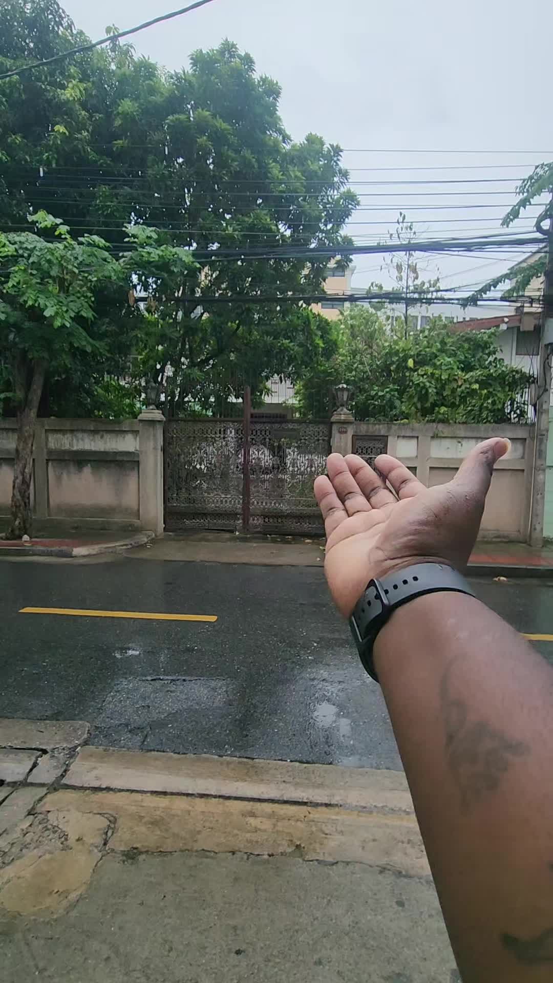 @Naj