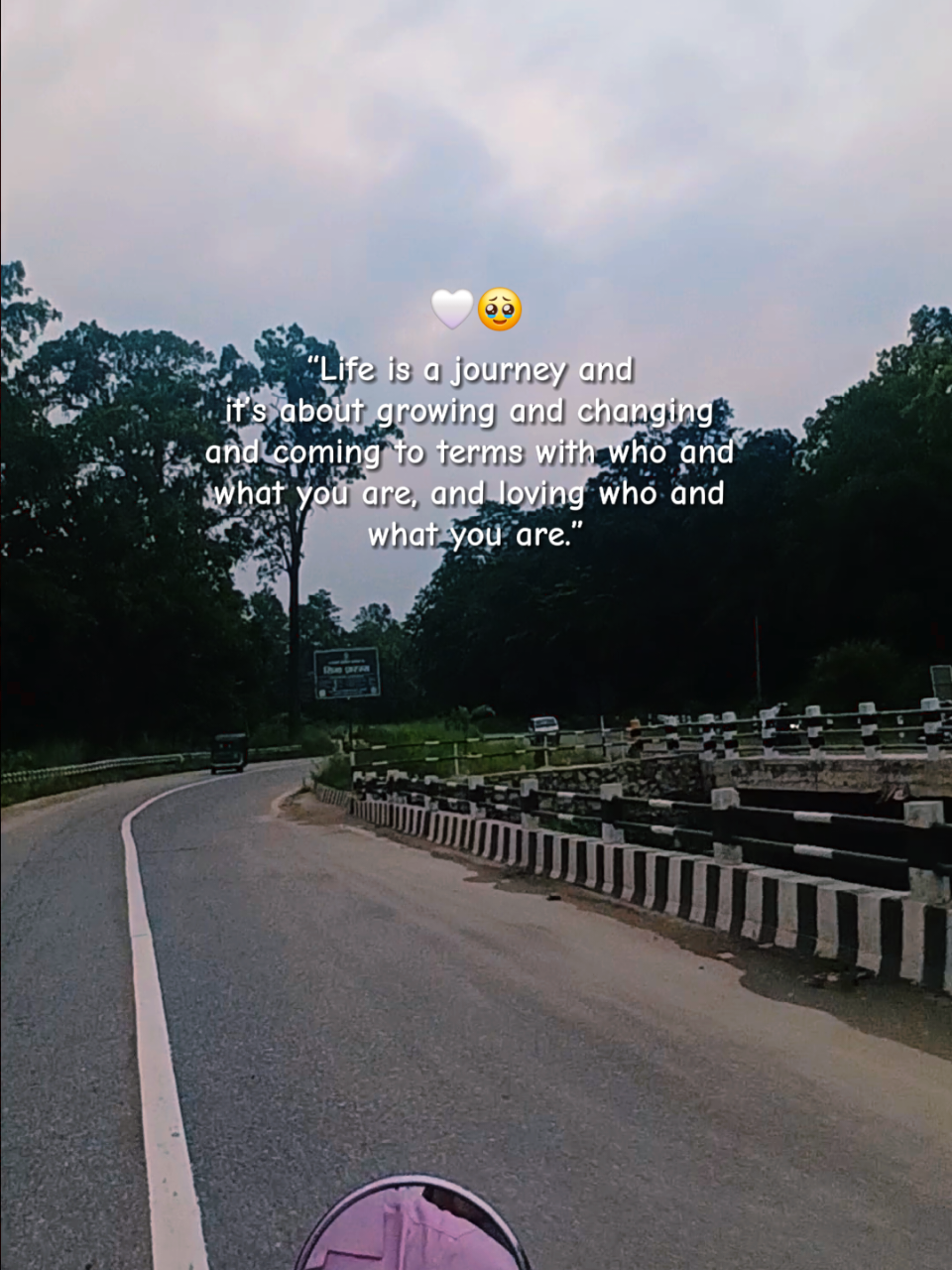 @🕊️