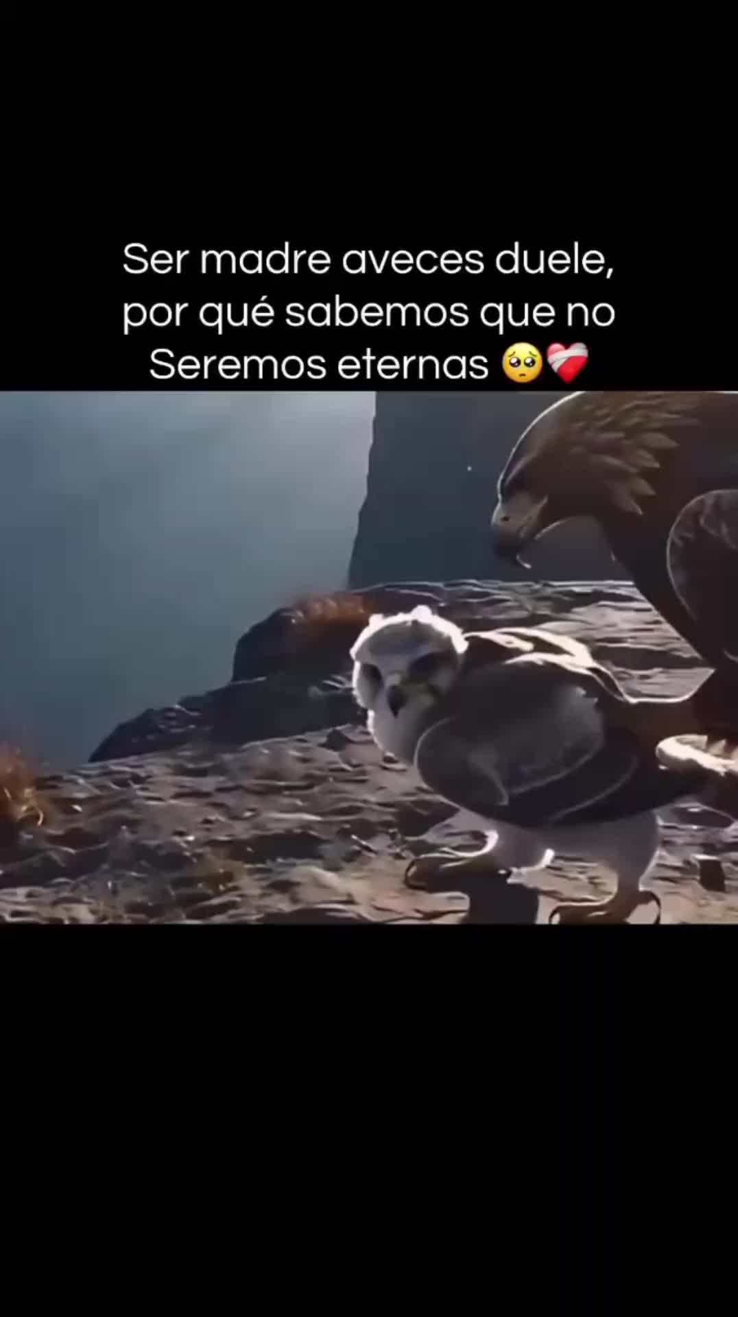 @karlagudiel8